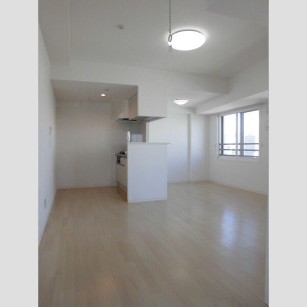 居室・リビング (LDK)