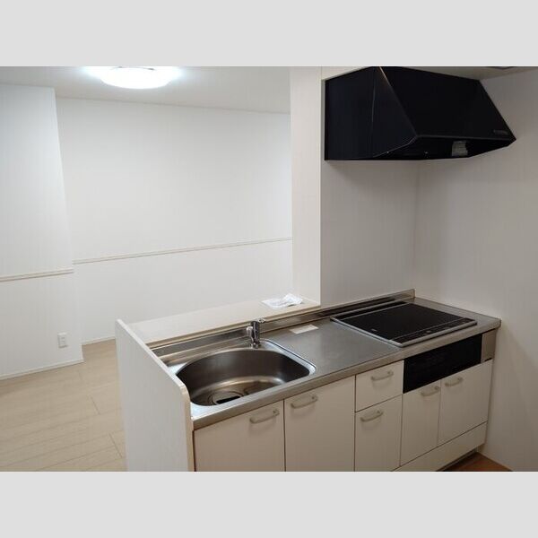 その他 (IHクッキングヒーター付き対面式システムキッチン)