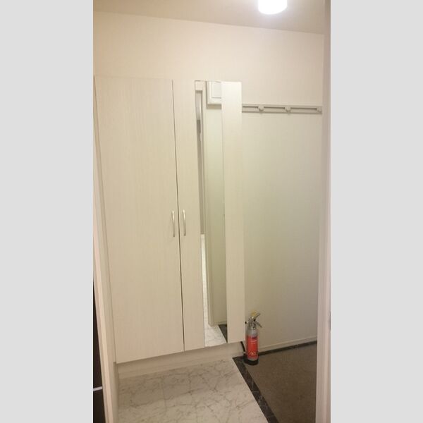 玄関 (シューズボックス)