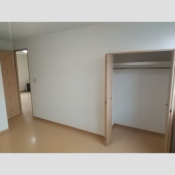 収納 (北洋室クローゼット付き)