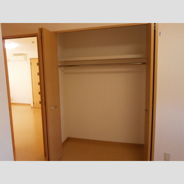 収納 (クローゼット(北側洋室))