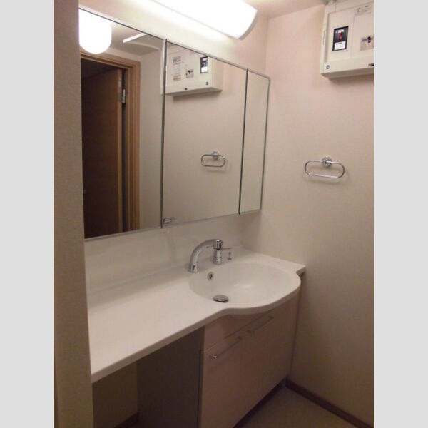 洗面所 (洗髪洗面化粧台)