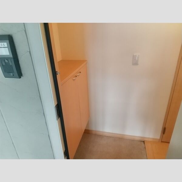 玄関 (下駄箱付き)