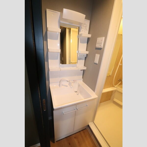 洗面所 (洗髪洗面化粧台)