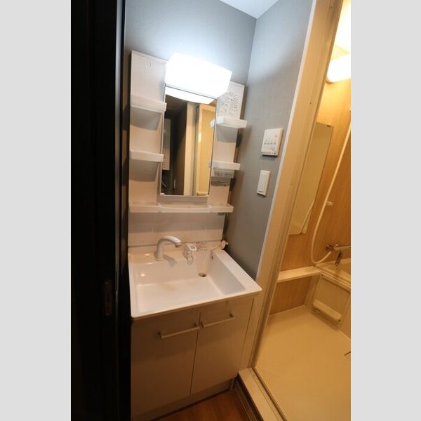 洗面所 (洗髪洗面化粧台)