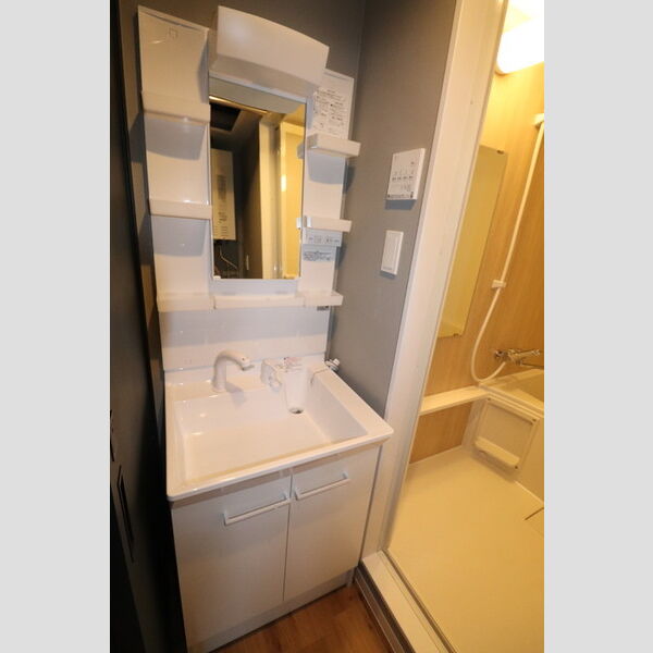 洗面所 (洗髪洗面化粧台)