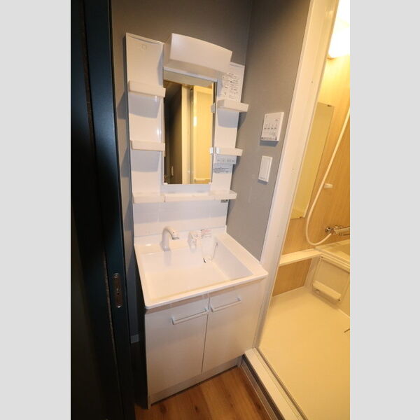 洗面所 (洗髪洗面化粧台)