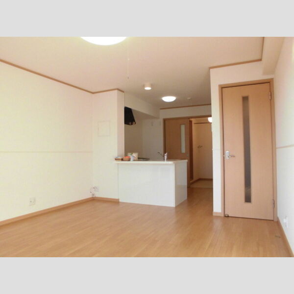 居室・リビング (LDK(12帖))