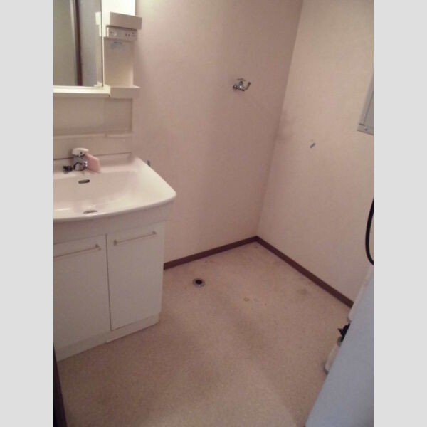 洗面所 (洗面化粧台・室内洗濯機置場)