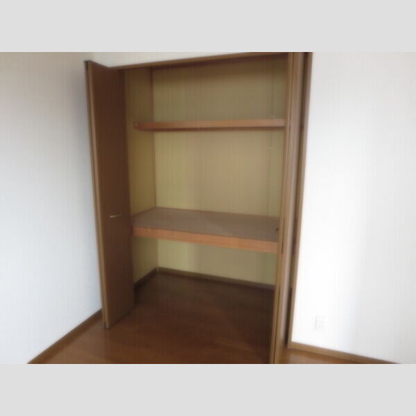 収納 (物入(南東側洋室))