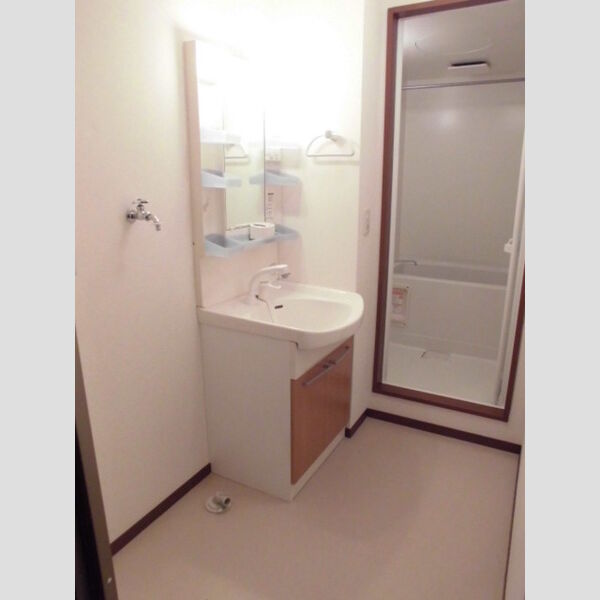 洗面所 (室内洗濯機置場・洗髪洗面化粧台)