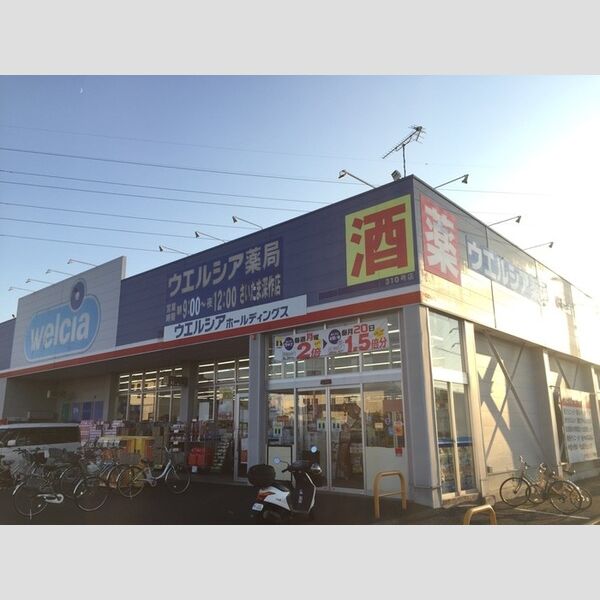 現地周辺 (ウエルシア薬局さいたま深作店)