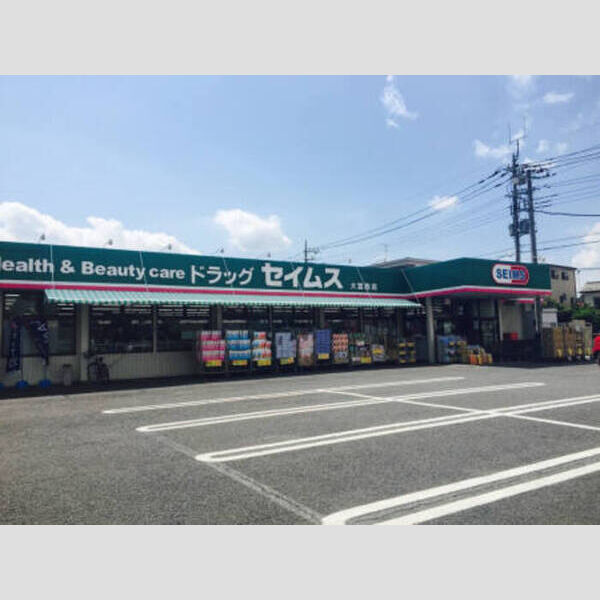 現地周辺 (セイムス大宮西店(約400m))