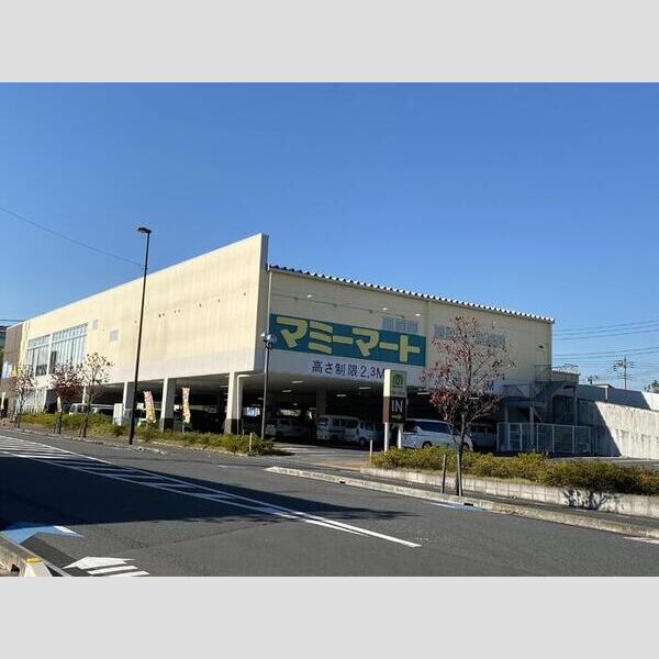 現地周辺 (マミーマート南中丸店　(210m))
