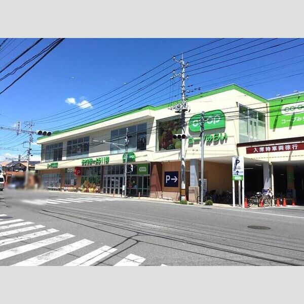 現地周辺 (コープ指扇店(900m))