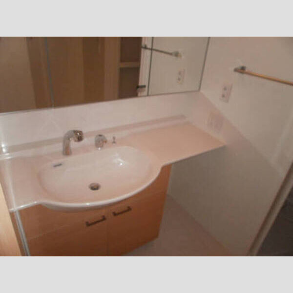 洗面所 (1号室 洗面)