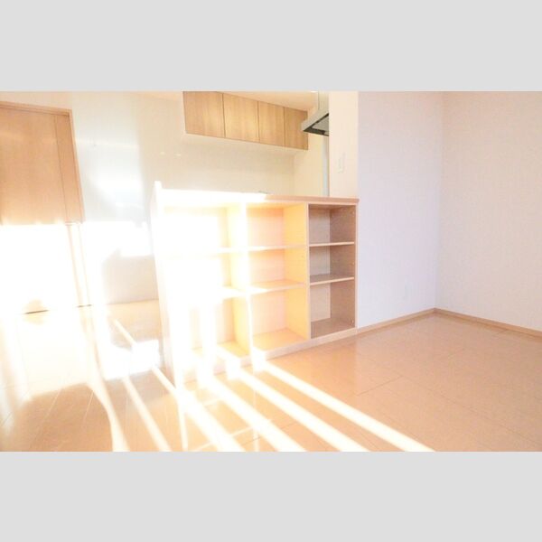 収納 (キッチン下収納)