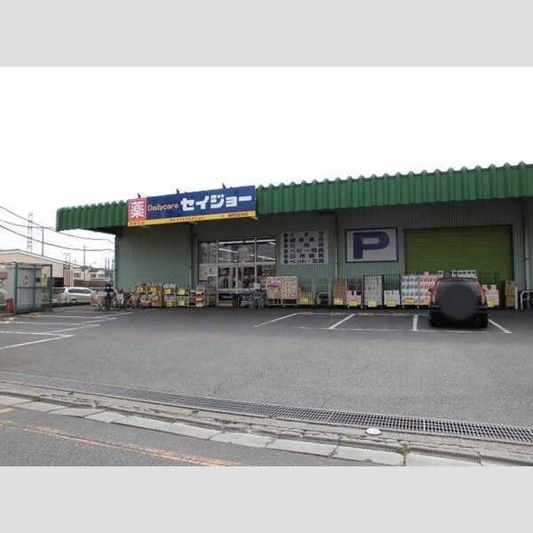 現地周辺 (ドラッグストアセイジョー浦和円正寺店(251m))