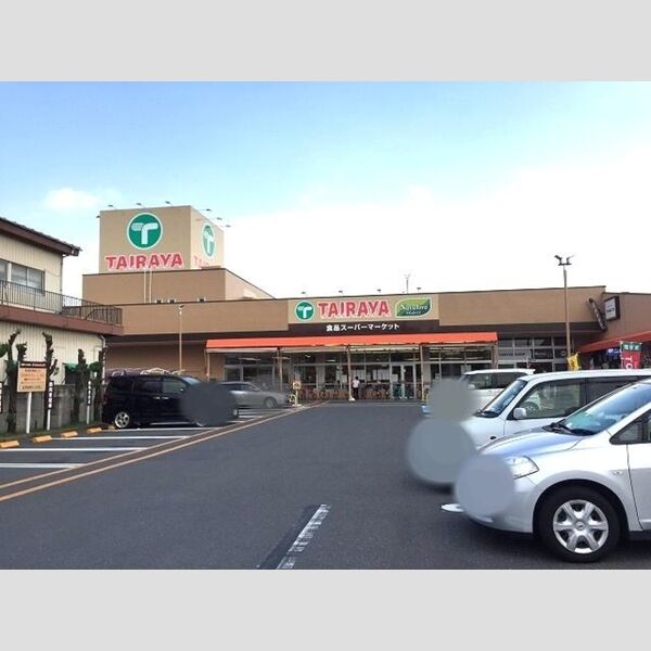 現地周辺 (スーパー  TAIRAYA(656m))