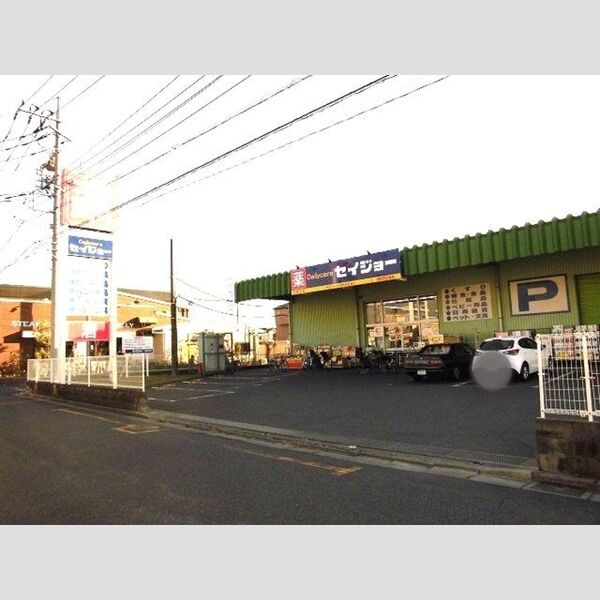 現地周辺 (デイリーケアセイジョー浦和円正寺店(234m))