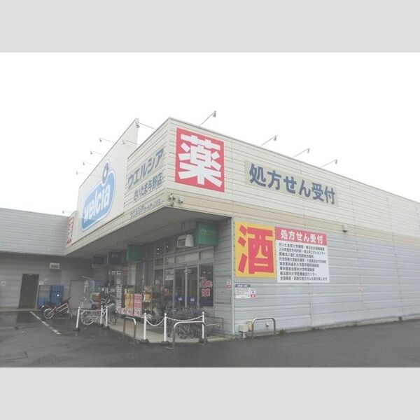 現地周辺 (ウエルシアさいたま与野店(510m))