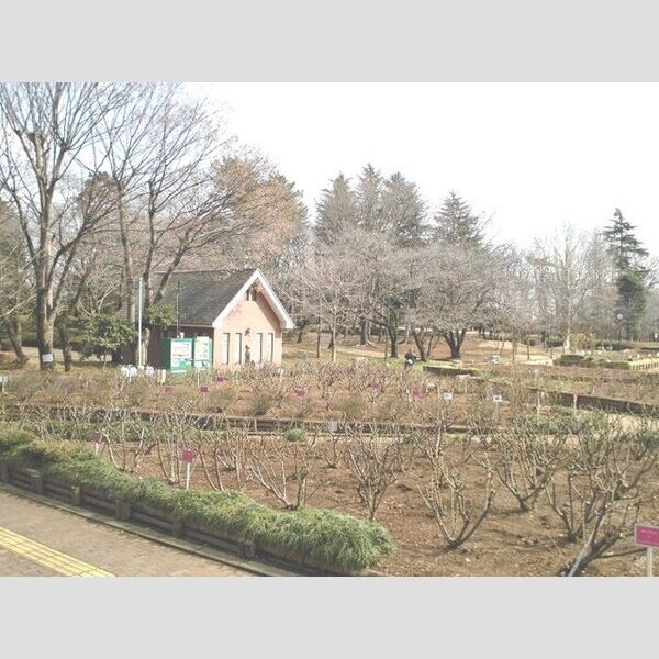 現地周辺 (与野公園(230m))