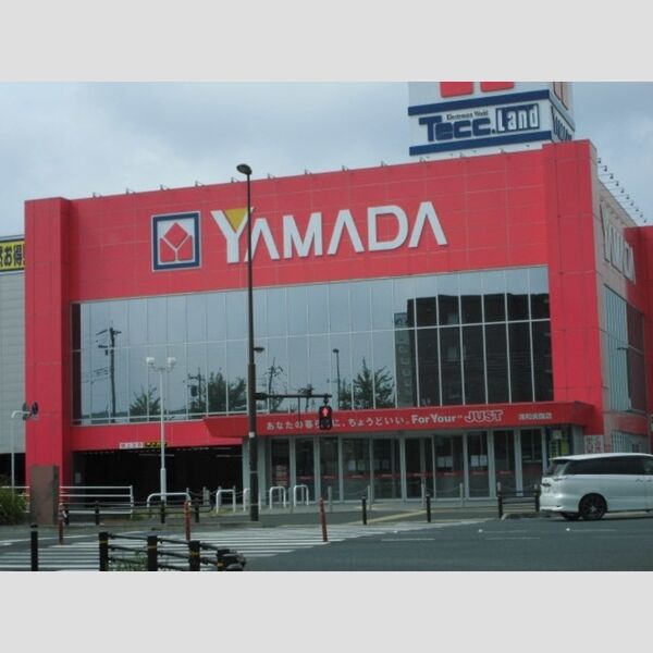 現地周辺 (ヤマダデンキテックランド浦和美園店)