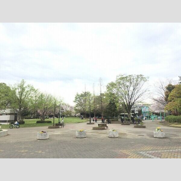 現地周辺 (八王子公園)
