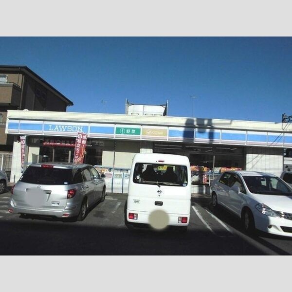 現地周辺 (ローソンさいたま上木崎店(253m))