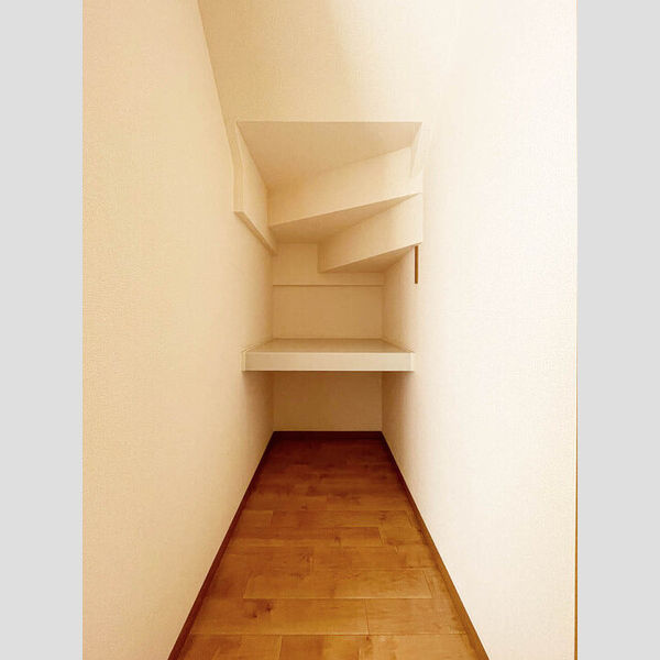 その他 (階段下収納)