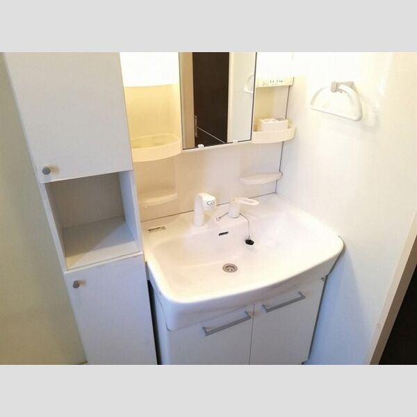 洗面所 (洗髪洗面化粧台)