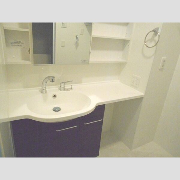 洗面所 (洗髪洗面化粧台)