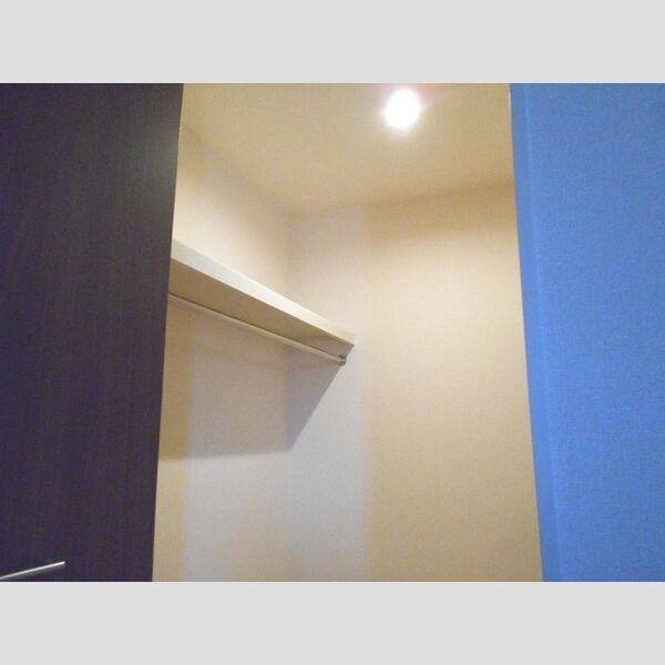 収納 (ウォークインクローゼット)