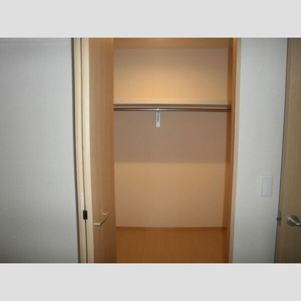 収納 (二階洋室　ウォークインクローゼット)