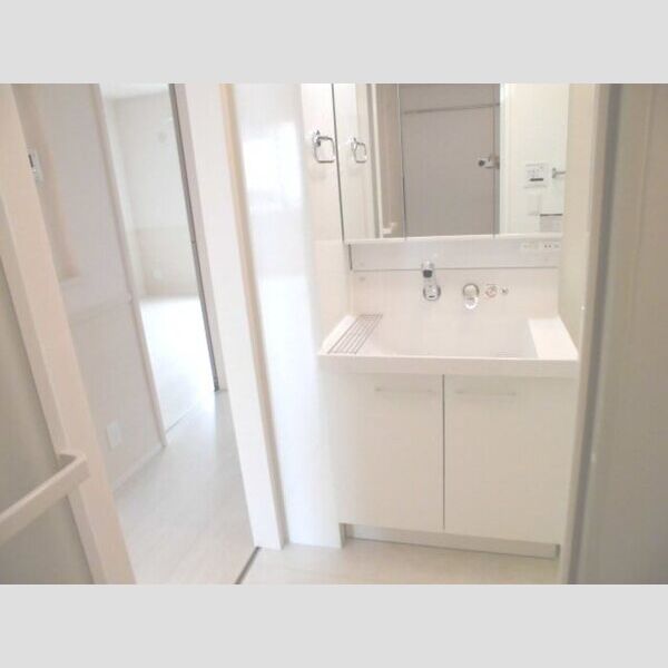 洗面所 (洗髪洗面化粧台)