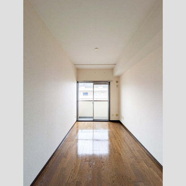 その他 (洋室4.6帖)