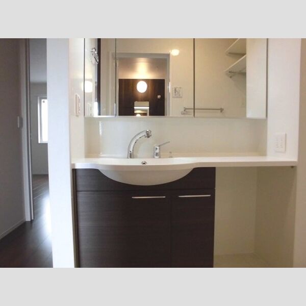 洗面所 (洗髪洗面化粧台)