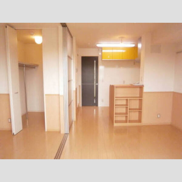 収納 (洋室・LDK)