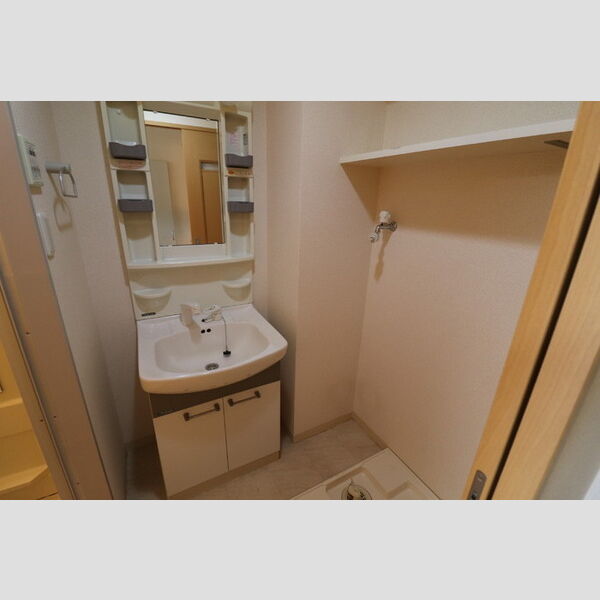 洗面所 (洗髪洗面化粧台)