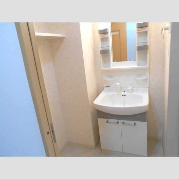 洗面所 (洗髪洗面化粧台)