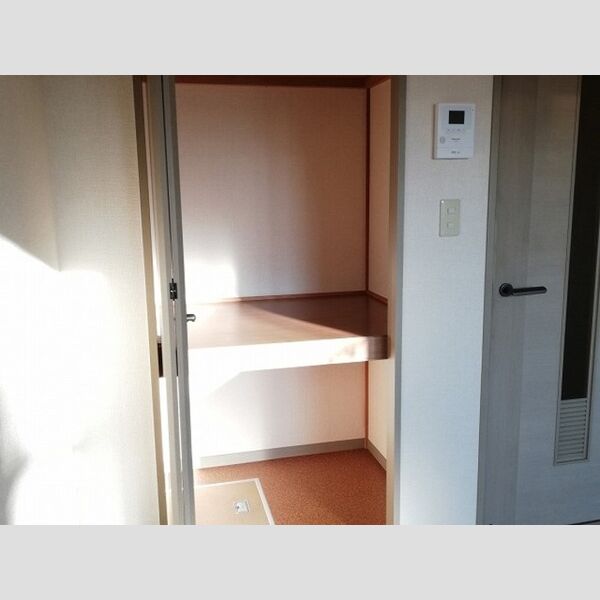 収納 (洋室　物入)