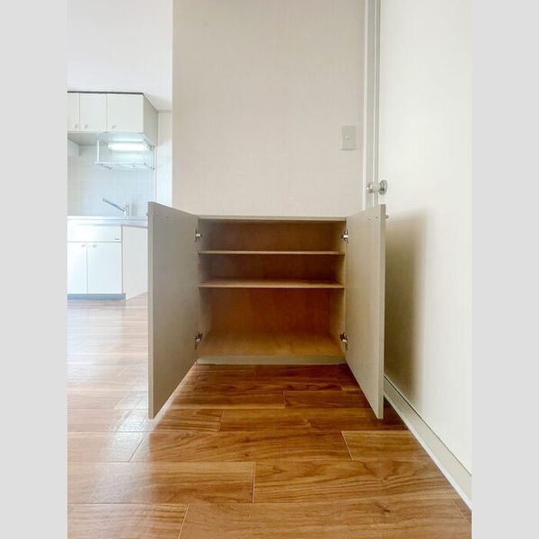 その他 (シューズボックス)