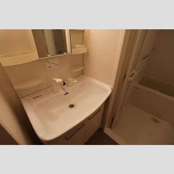 洗面所 (洗髪洗面化粧台)