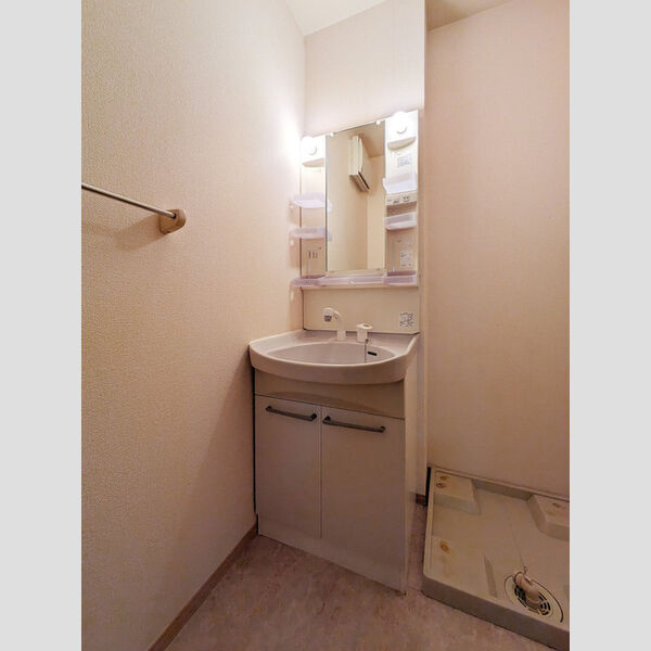 その他 (洗髪洗面化粧台)