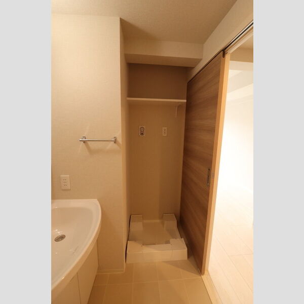 その他 (室内洗濯機置き場)