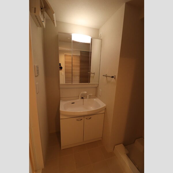 その他 (洗髪洗面化粧台)