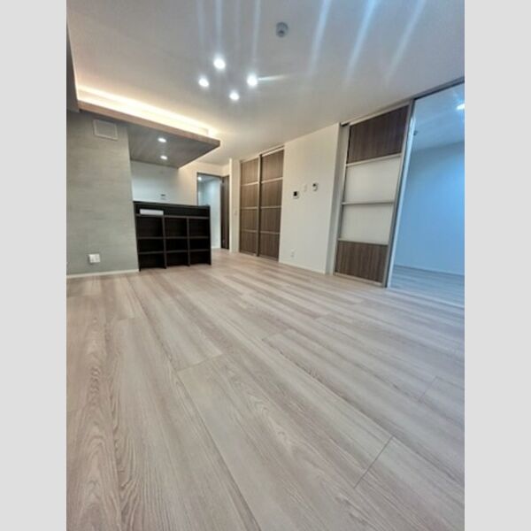 居室・リビング (LDK)