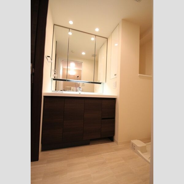 洗面所 (洗髪洗面化粧台)