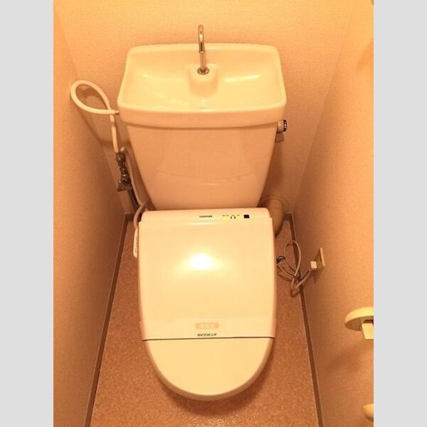 トイレ (壁にもコントロールがついてます♪)