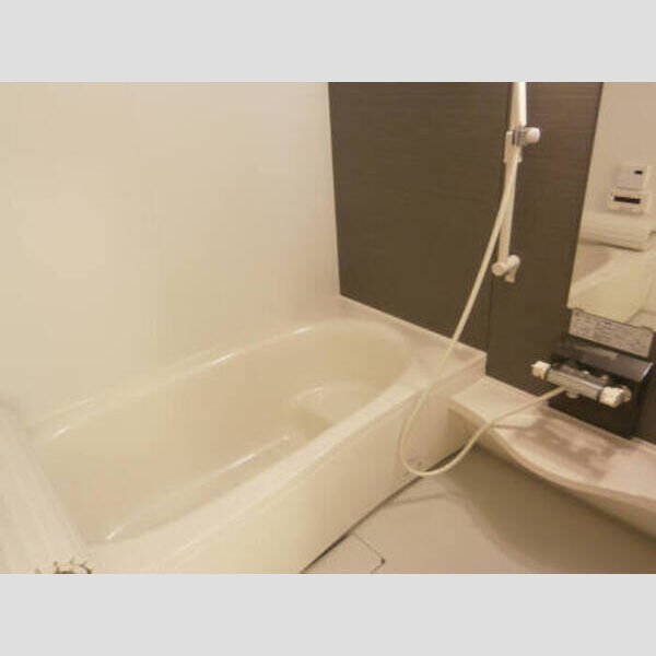 バス (浴室(ミストサウナ有))